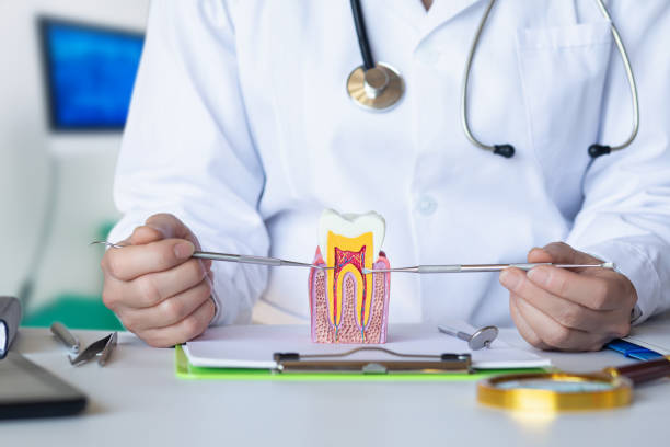 Best Emergency Treatment for Jaw Pain or Injury in Kittredge, CO